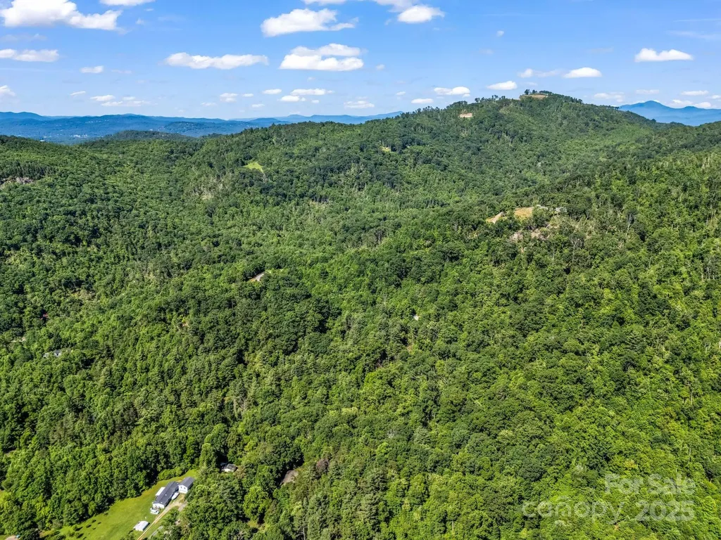 Tbd Climbing Road Hendersonville NC 28792
