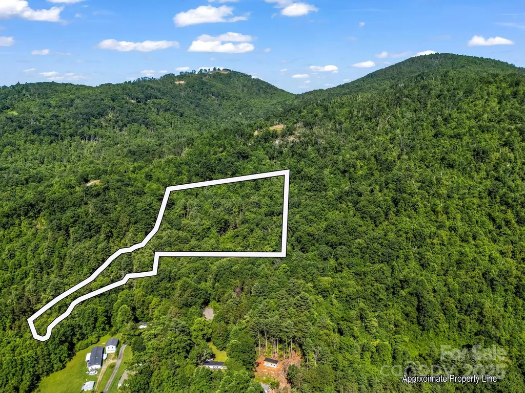 Tbd Climbing Road Hendersonville NC 28792