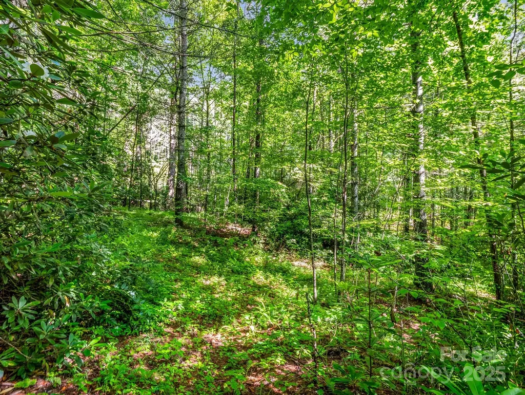 Tbd Climbing Road Hendersonville NC 28792