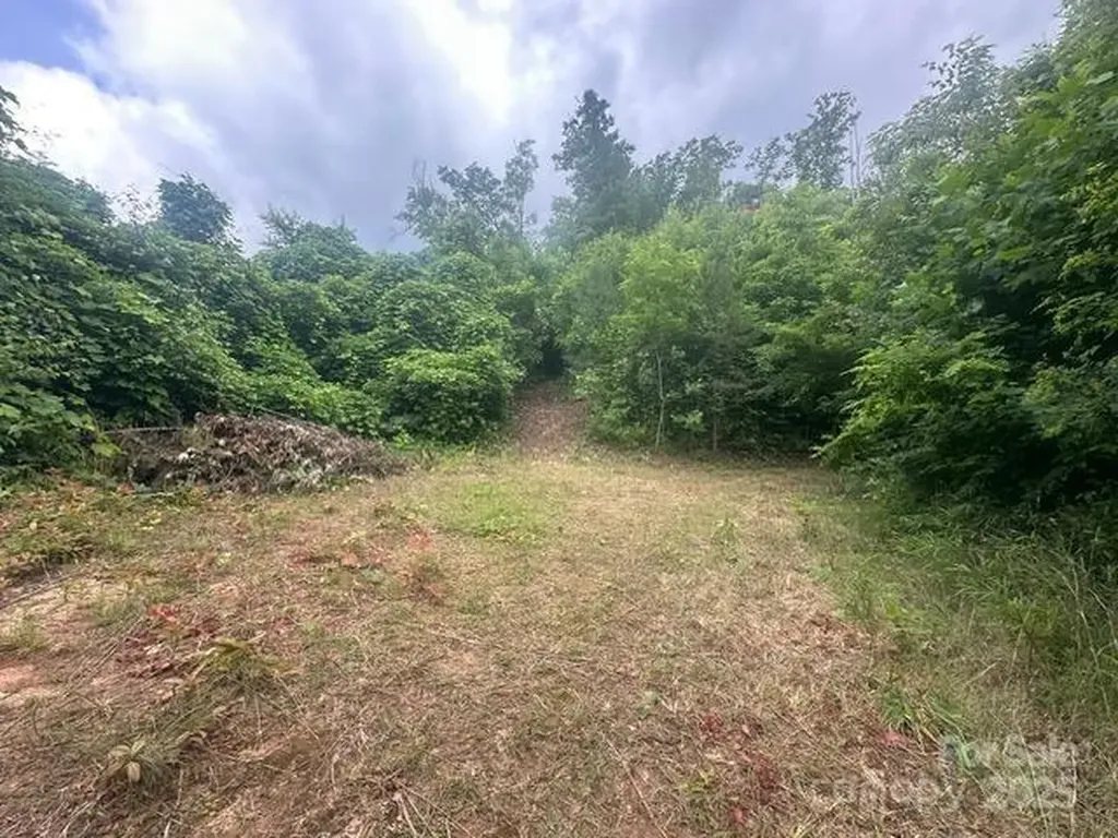 0 Cope Creek Road Sylva NC 28779