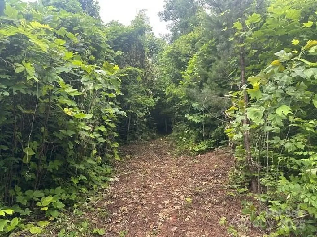 0 Cope Creek Road Sylva NC 28779