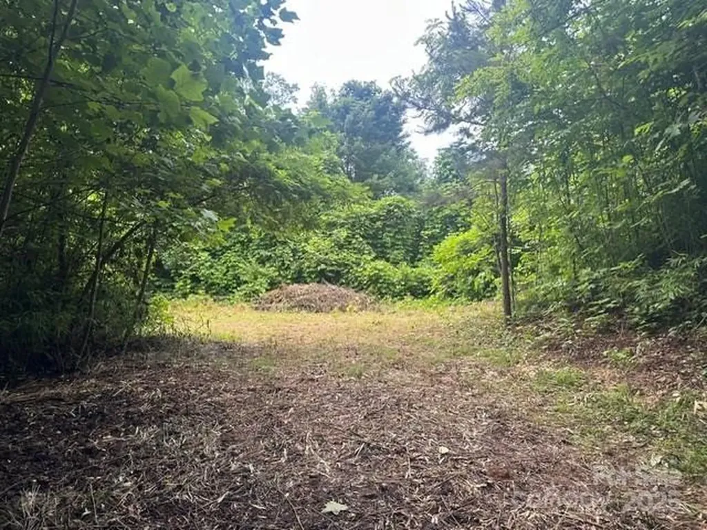 0 Cope Creek Road Sylva NC 28779