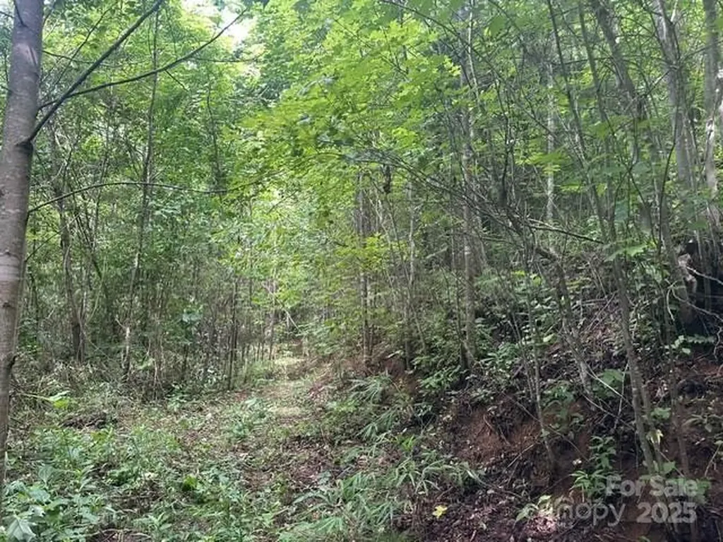 0 Cope Creek Road Sylva NC 28779