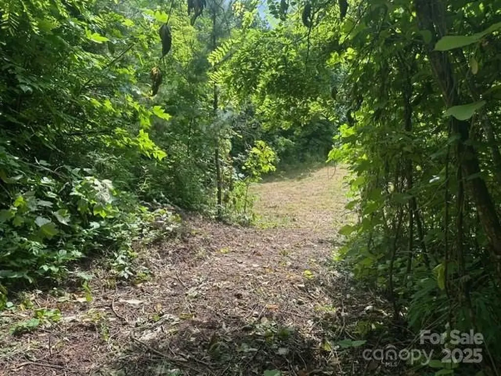 0 Cope Creek Road Sylva NC 28779