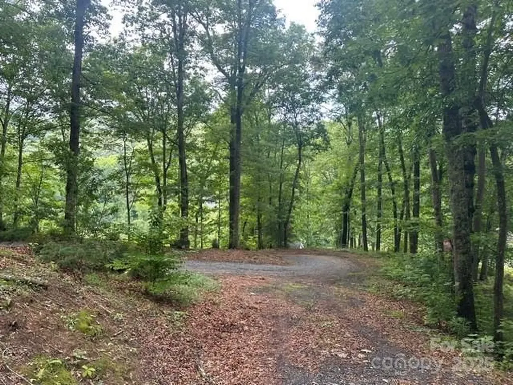 0 Cope Creek Road Sylva NC 28779