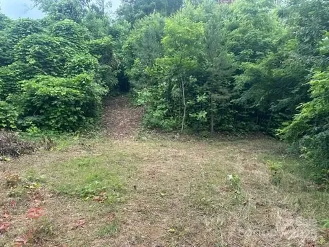 0 Cope Creek Road Sylva NC 28779
