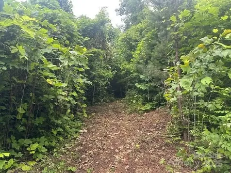 0 Cope Creek Road Sylva NC 28779