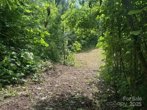 0 Cope Creek Road Sylva NC 28779