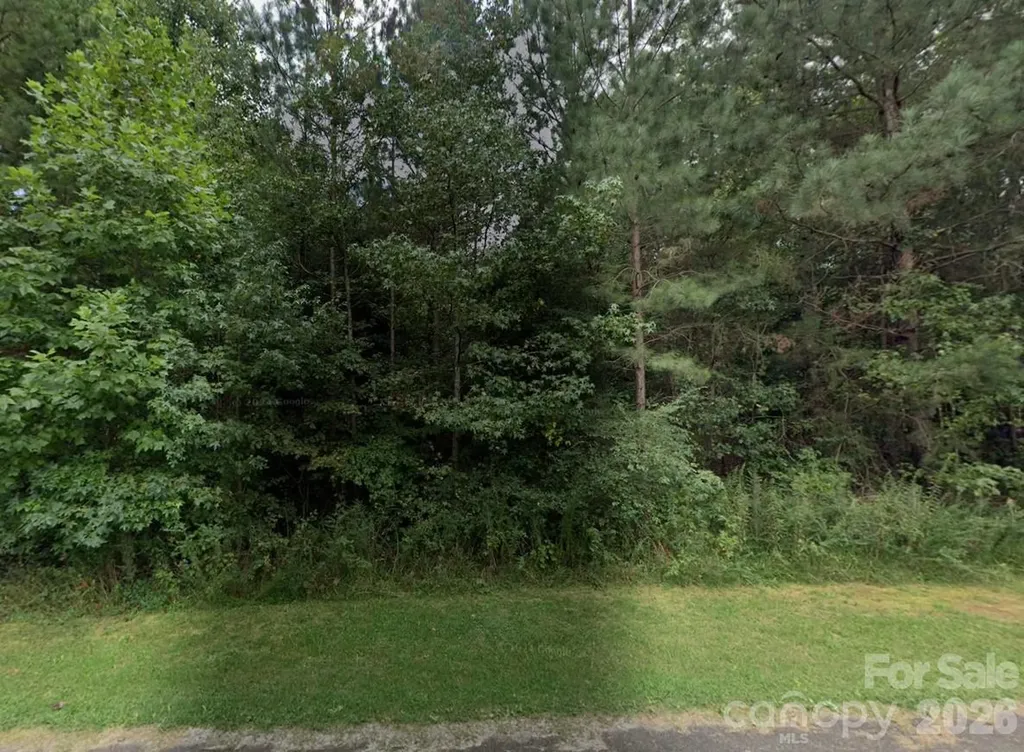 00 #24 Majestic Pine Drive Vale NC 28168