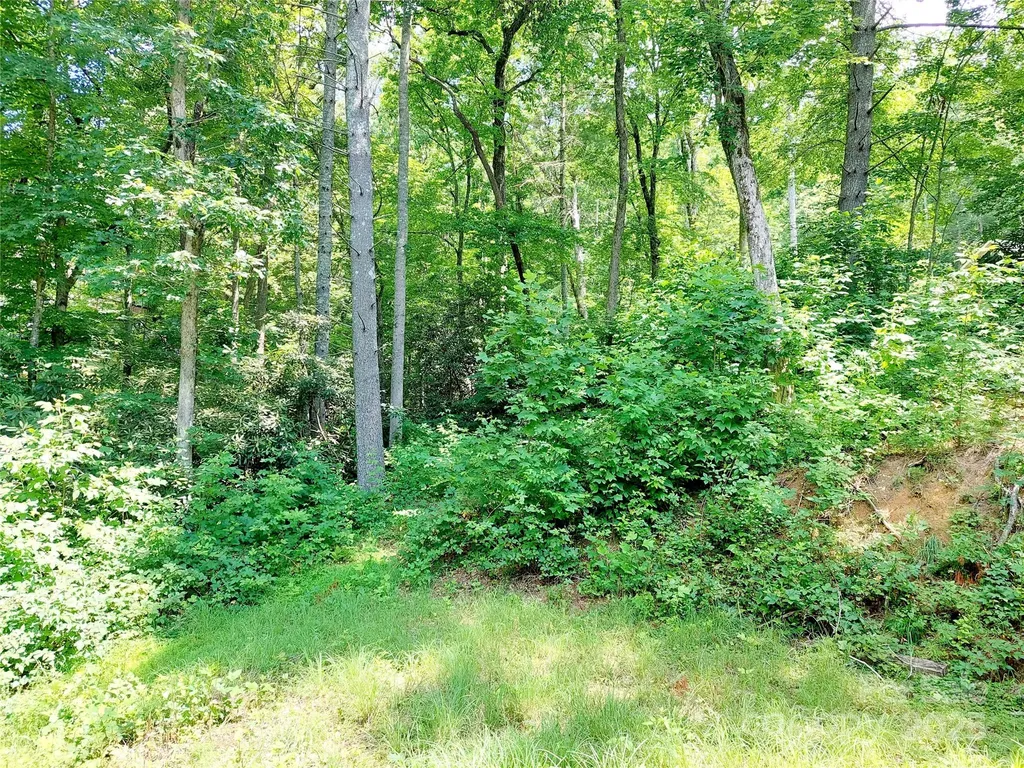 93 Badger Run Hendersonville NC 28739
