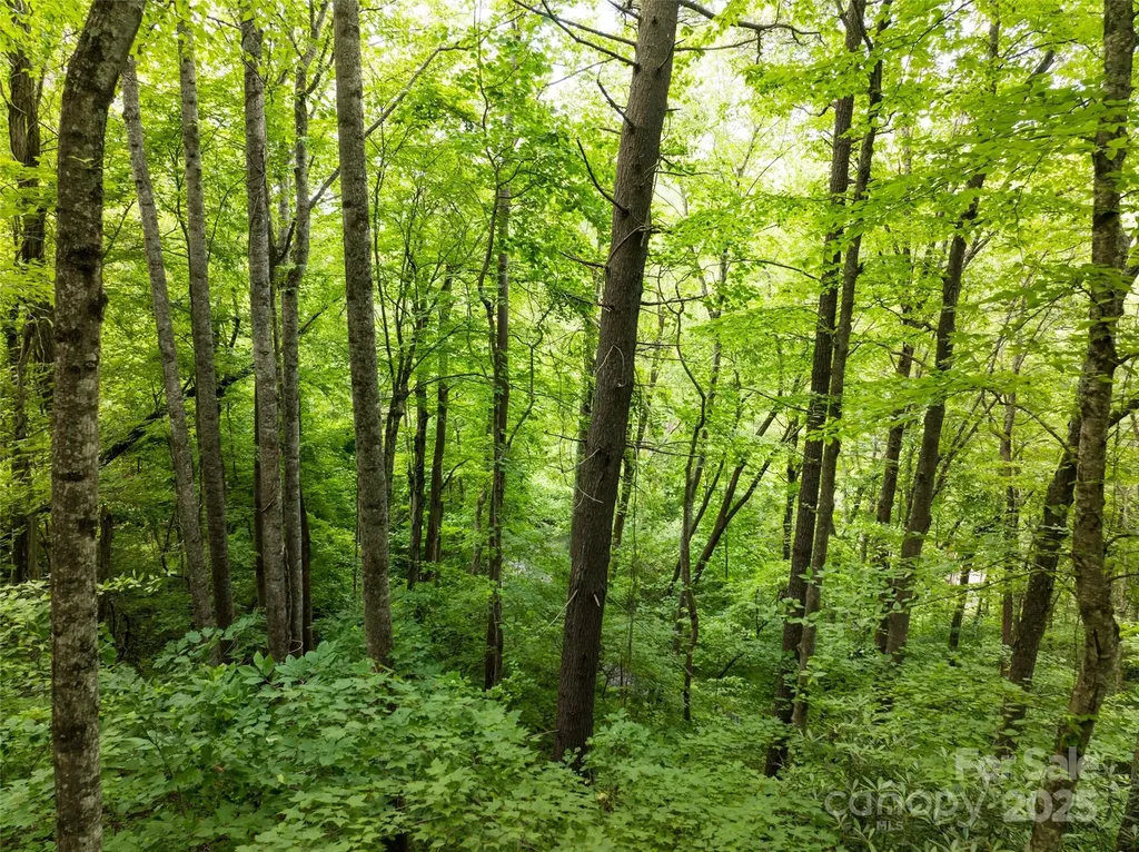 9999 White Oak Gap Road Asheville NC 28803