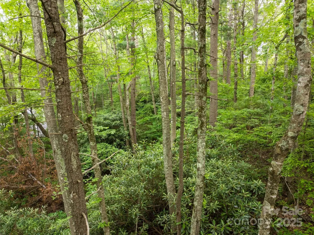 9999 White Oak Gap Road Asheville NC 28803