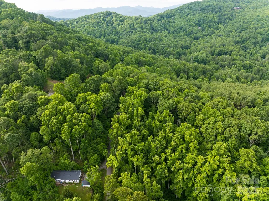 9999 White Oak Gap Road Asheville NC 28803