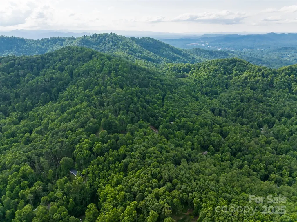 9999 White Oak Gap Road Asheville NC 28803