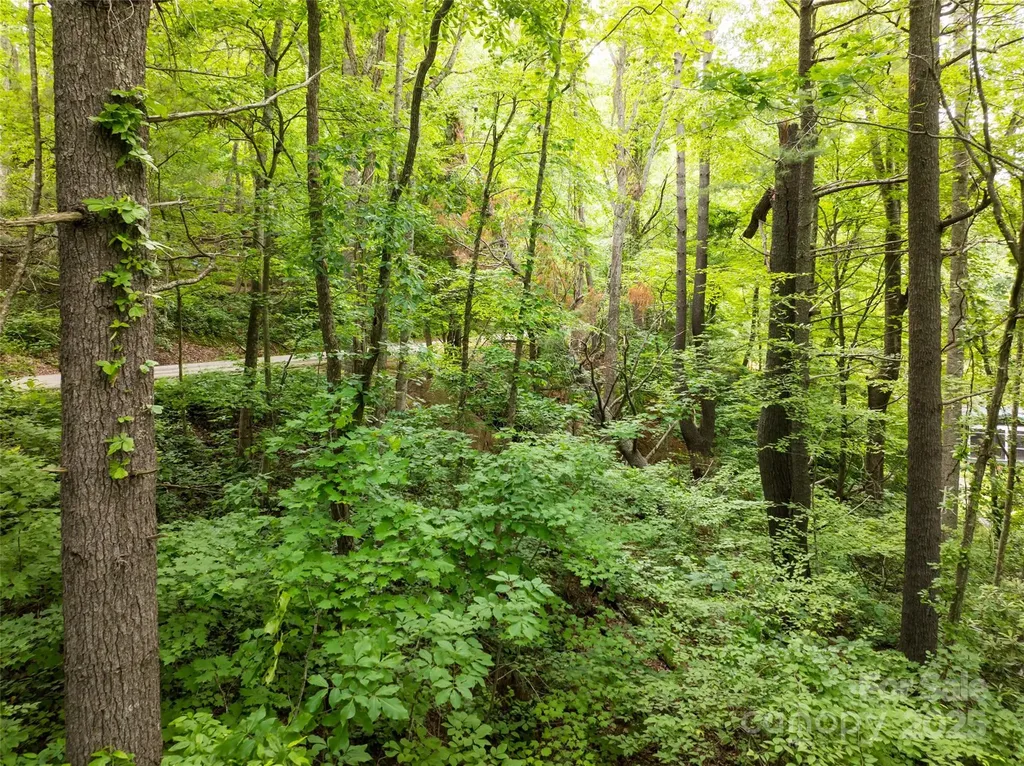 9999 White Oak Gap Road Asheville NC 28803