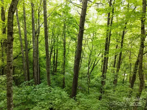 9999 White Oak Gap Road Asheville NC 28803