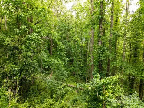 9999 White Oak Gap Road Asheville NC 28803