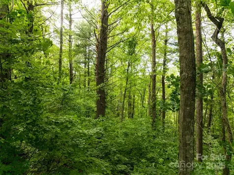 9999 White Oak Gap Road Asheville NC 28803