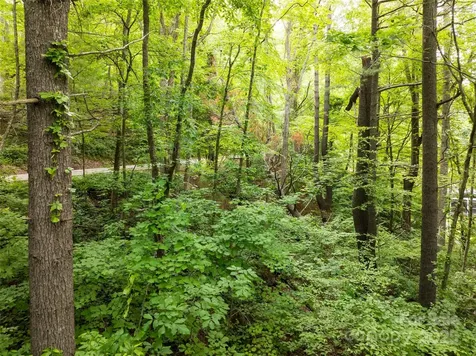 9999 White Oak Gap Road Asheville NC 28803