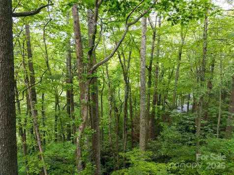 9999 White Oak Gap Road Asheville NC 28803