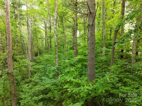 9999 White Oak Gap Road Asheville NC 28803