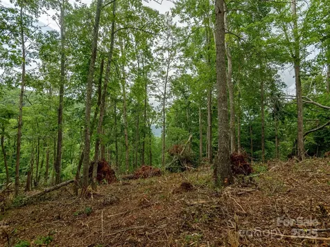28 Windcliff Drive Asheville NC 28803