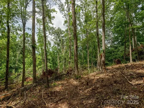 28 Windcliff Drive Asheville NC 28803