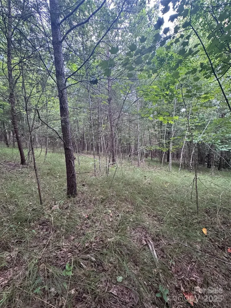0 Cross Creek Drive Rutherfordton NC
