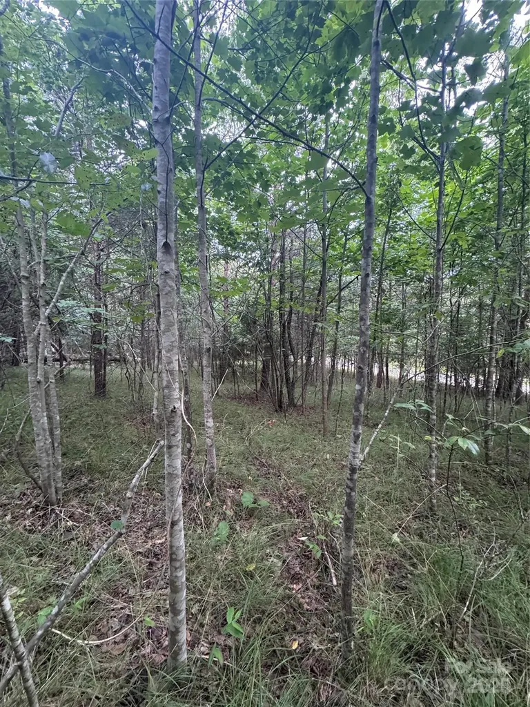 0 Cross Creek Drive Rutherfordton NC