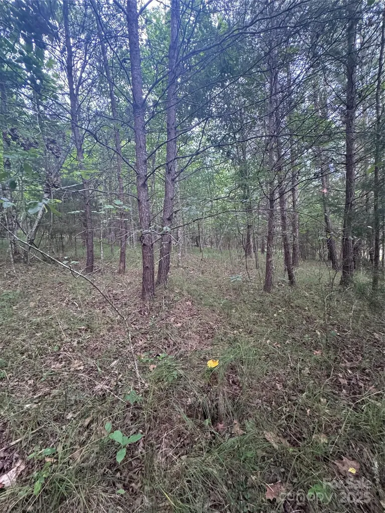 0 Cross Creek Drive Rutherfordton NC