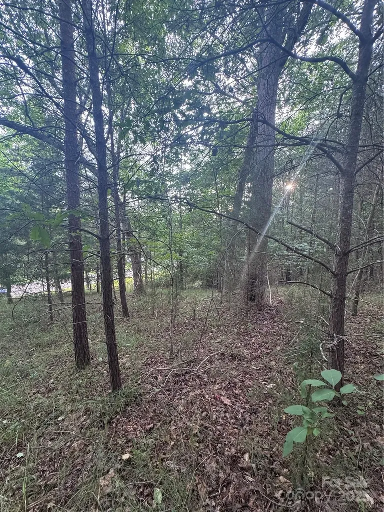 0 Cross Creek Drive Rutherfordton NC