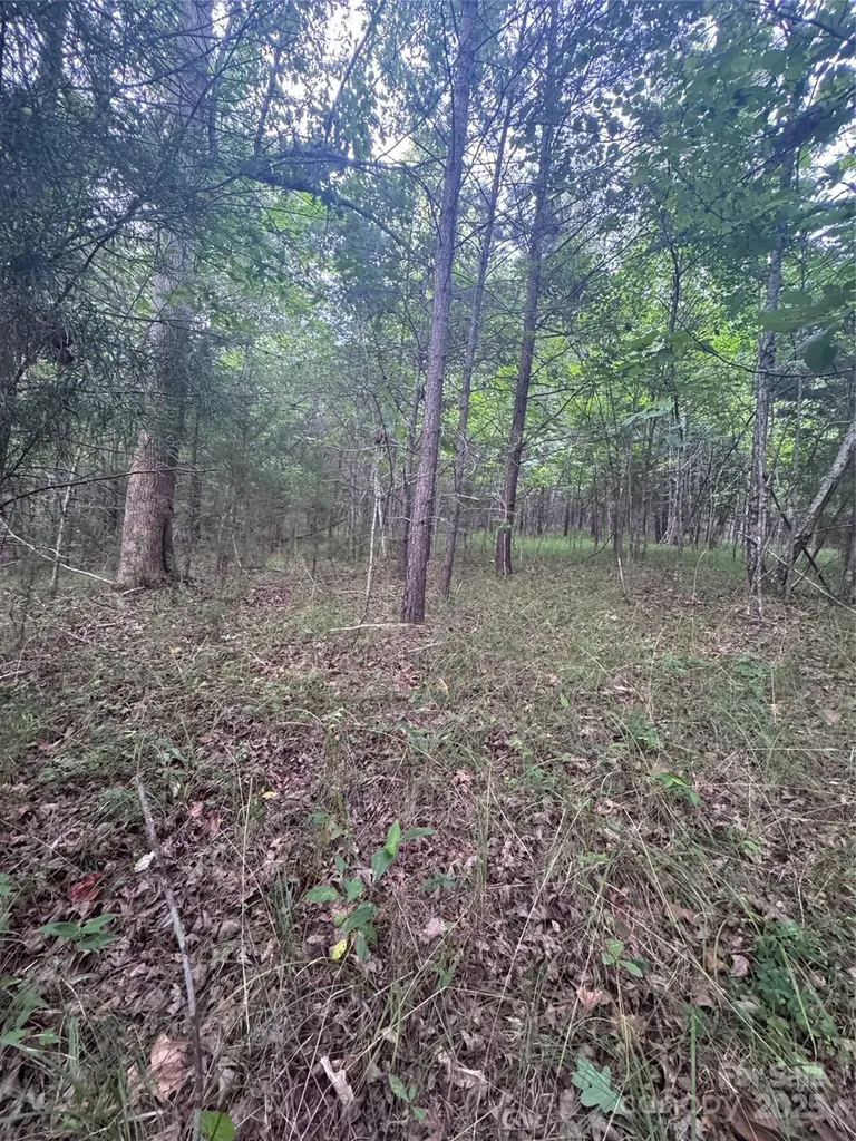 0 Cross Creek Drive Rutherfordton NC