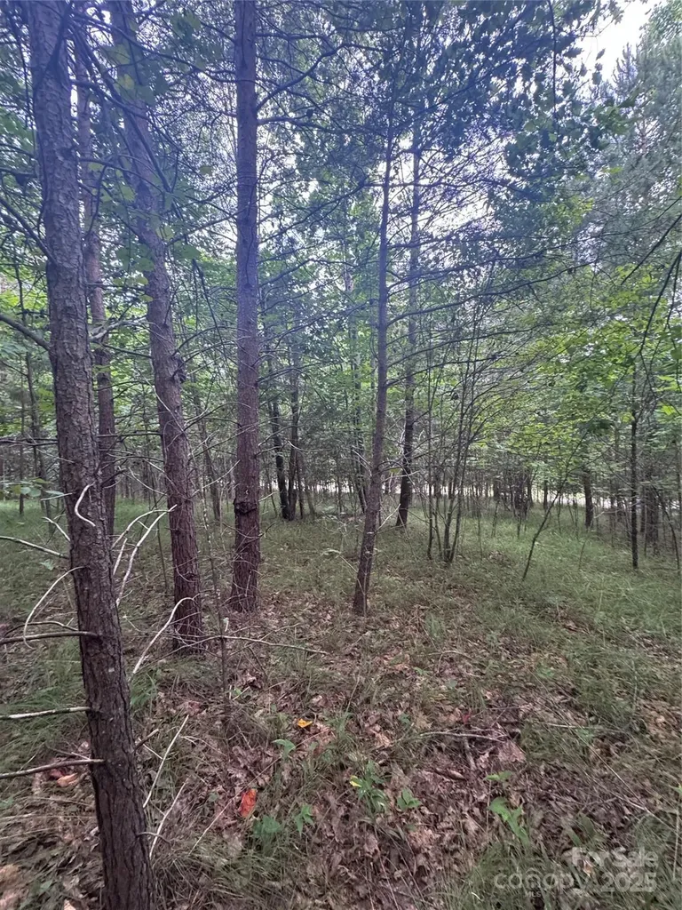 0 Cross Creek Drive Rutherfordton NC
