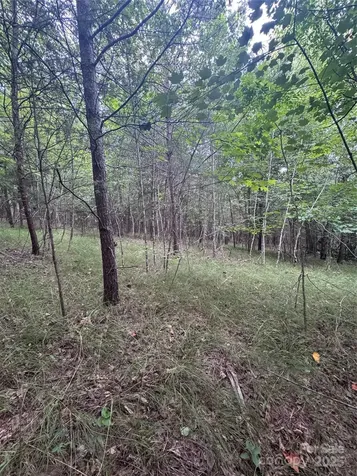 0 Cross Creek Drive Rutherfordton NC