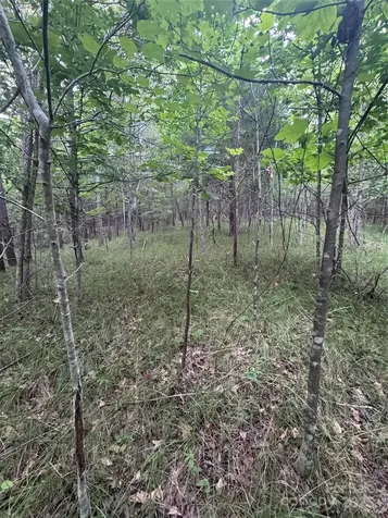 0 Cross Creek Drive Rutherfordton NC