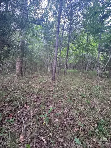 0 Cross Creek Drive Rutherfordton NC