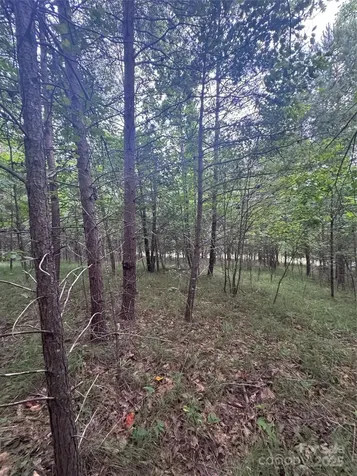 0 Cross Creek Drive Rutherfordton NC