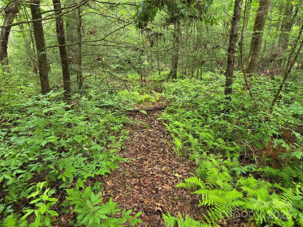 Tbd Cedar Lane Brevard NC 28712