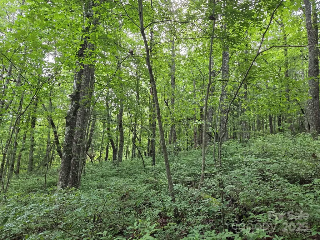 Tbd Cedar Lane Brevard NC 28712