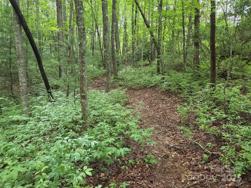 Tbd Cedar Lane Brevard NC 28712