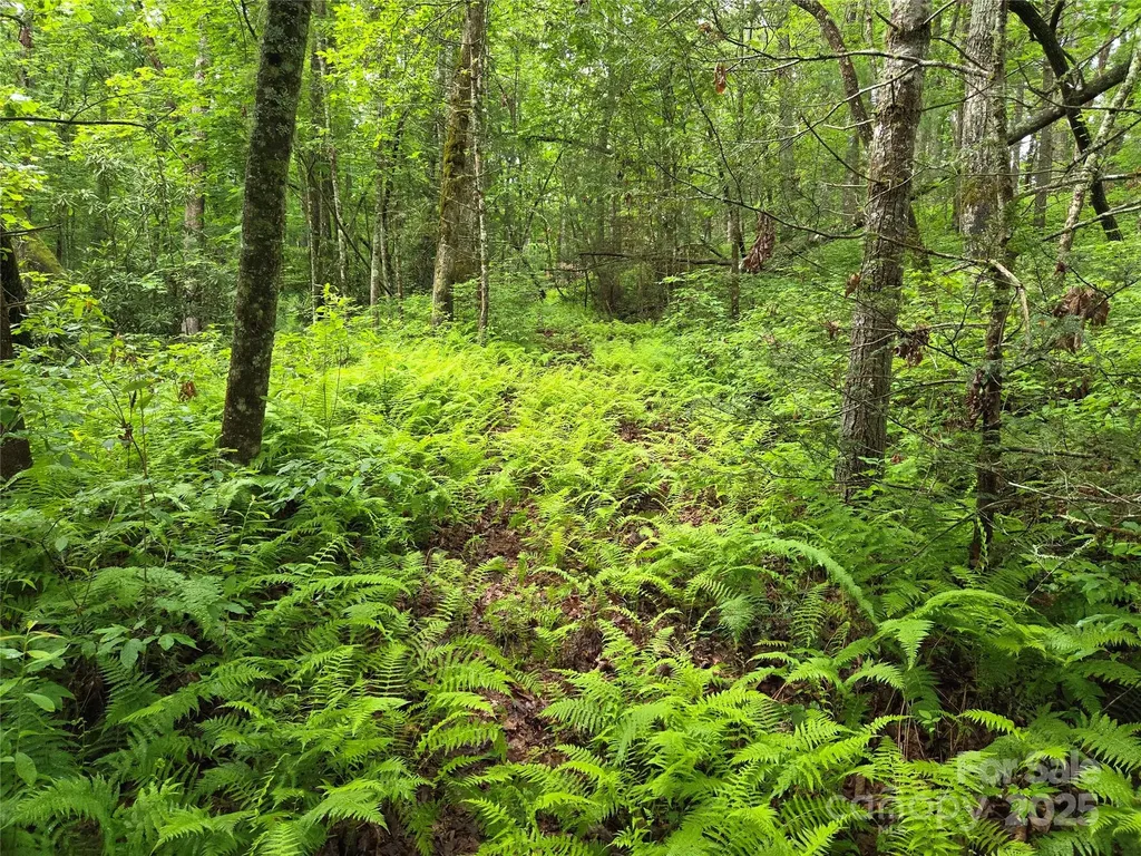 Tbd Cedar Lane Brevard NC 28712