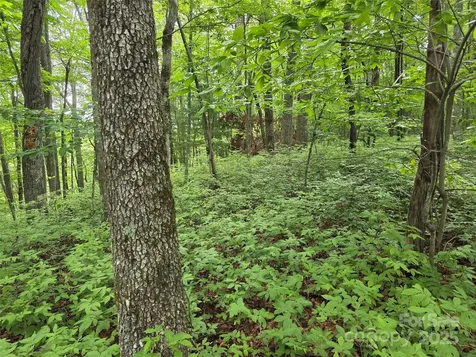Tbd Cedar Lane Brevard NC 28712