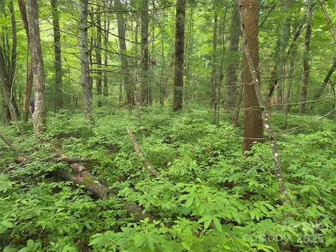 Tbd Cedar Lane Brevard NC 28712