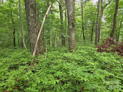 Tbd Cedar Lane Brevard NC 28712