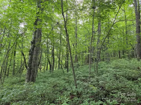 Tbd Cedar Lane Brevard NC 28712