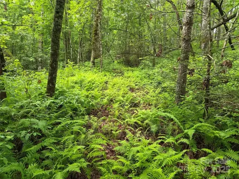 Tbd Cedar Lane Brevard NC 28712