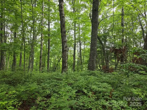 Tbd Cedar Lane Brevard NC 28712