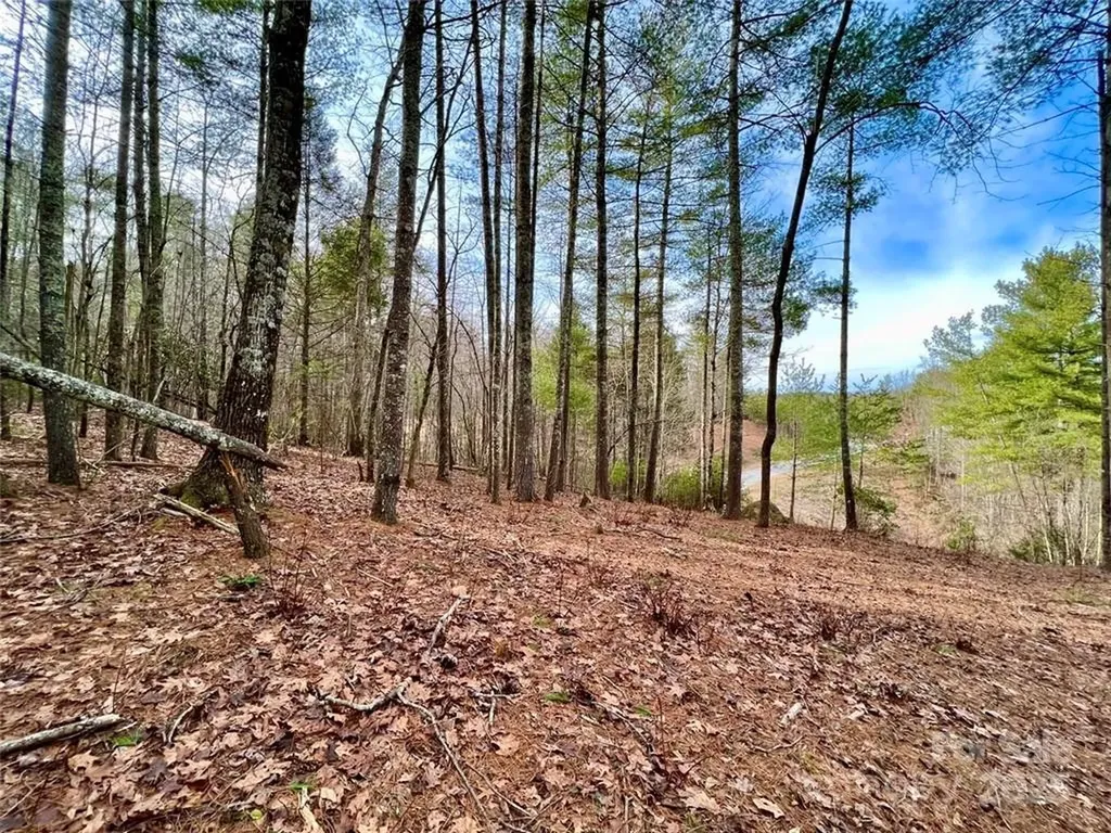 3.16 Acres Lot 77, 1712 Round Mountain Parkway Lenoir NC 28645
