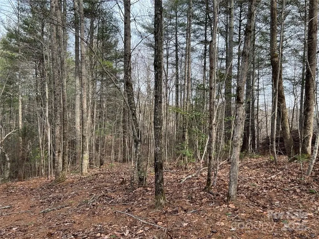 3.16 Acres Lot 77, 1712 Round Mountain Parkway Lenoir NC 28645