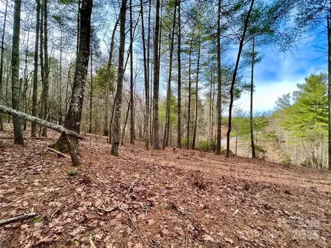 3.16 Acres Lot 77, 1712 Round Mountain Parkway Lenoir NC 28645